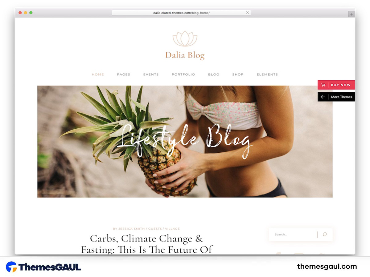 Lifestyle Blog Theme