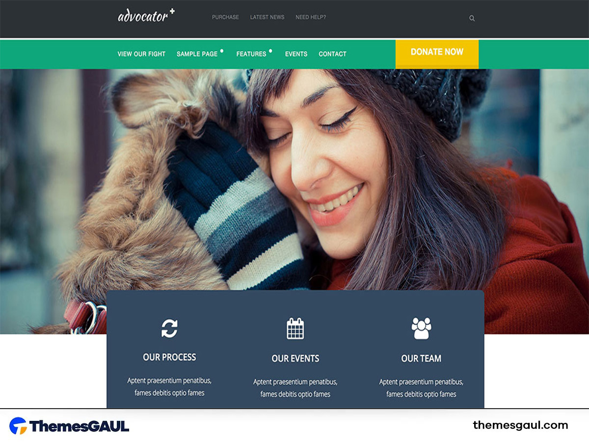 Simple Non-Profit Theme
